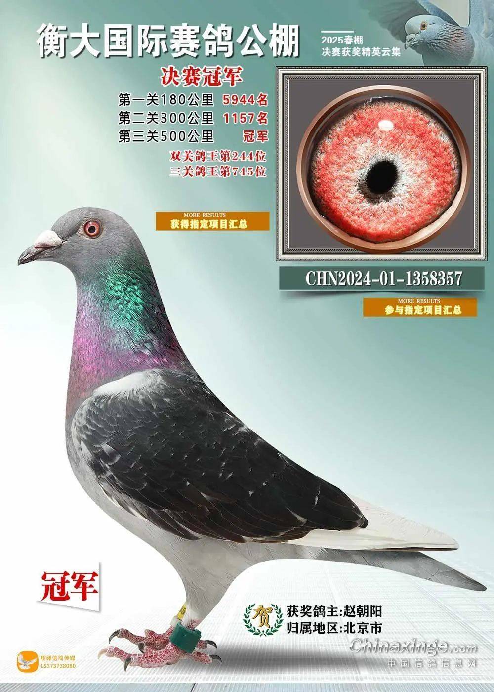 茫茫赛场，冠军属于最强者的简单介绍