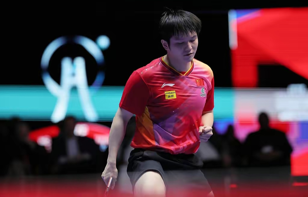 日本乒乓球队险胜波兰乒乓球队，樊振东高光表现的简单介绍