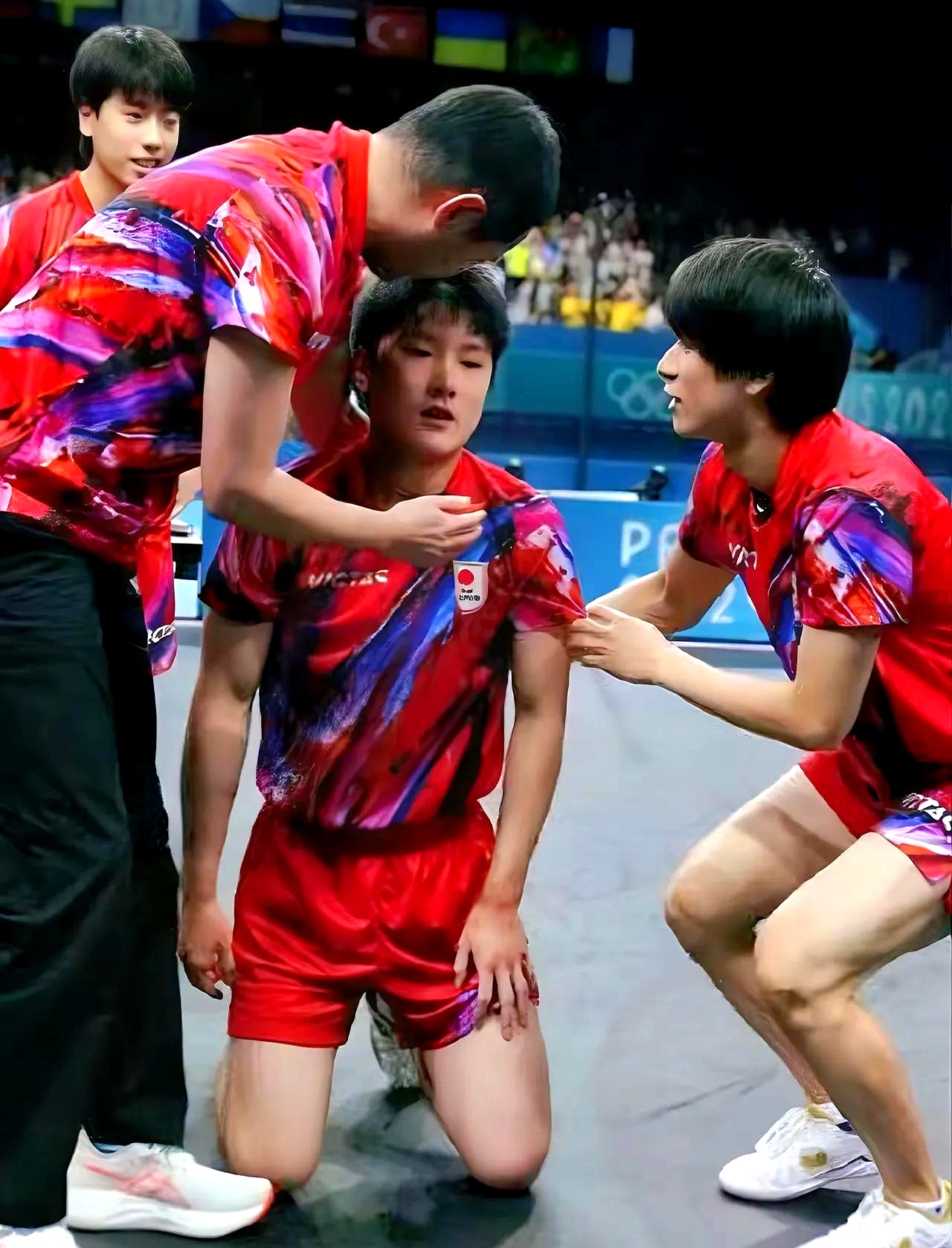 关于法国队轻取日本队,张本智和关键制胜的信息 关于法国队轻取日本队,张本智和关键制胜的信息